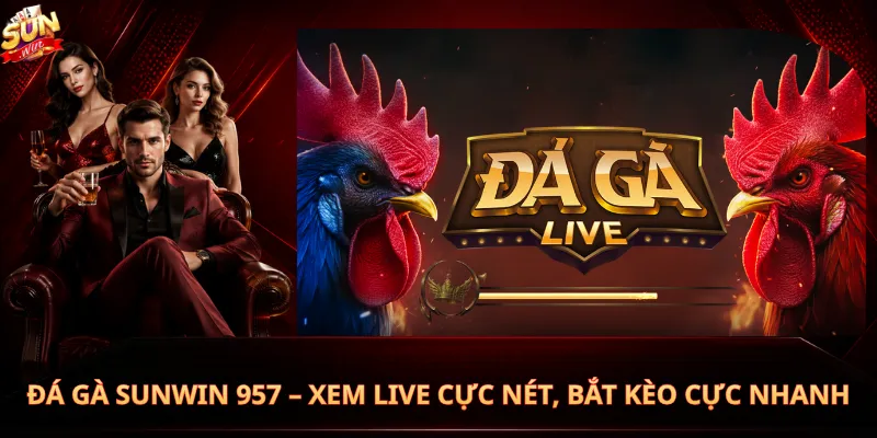 Đá Gà Sunwin 957 – Xem Live Cực Nét, Bắt Kèo Cực Nhanh