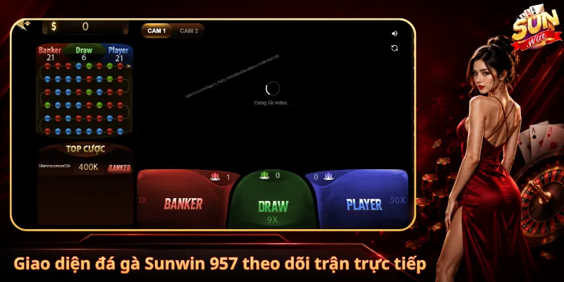 Giao diện đá gà Sunwin 957 theo dõi trận trực tiếp