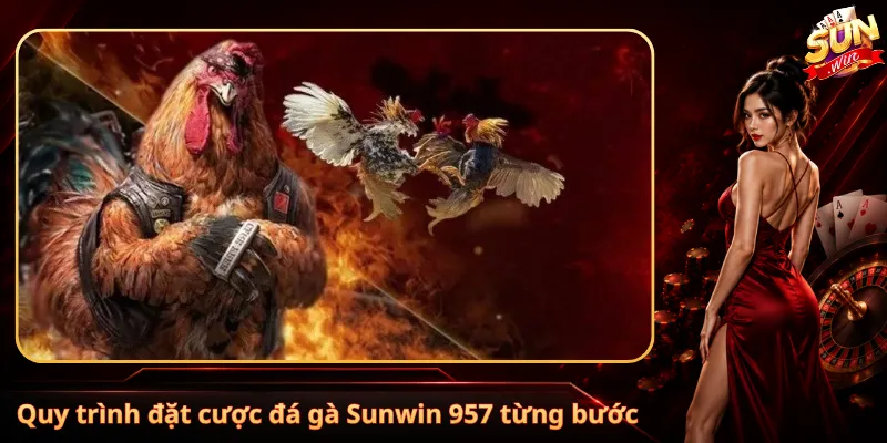 Quy trình đặt cược đá gà Sunwin 957 từng bước